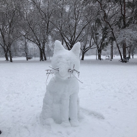 Meet your Posher, Jill - Picture 1 of 1